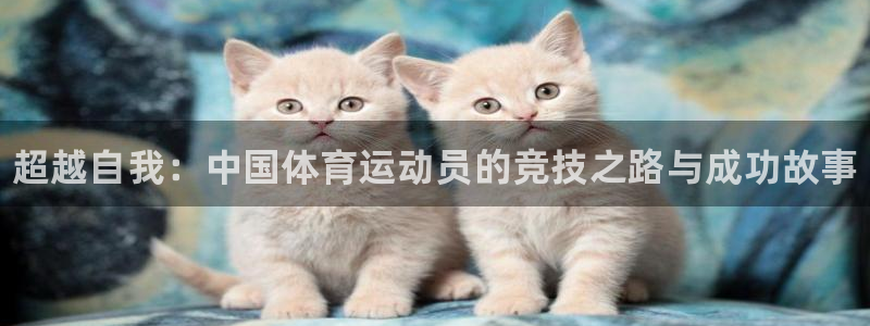 3377体育官方正版app集团logo：超越自我：中