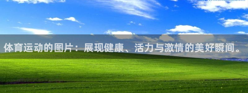 3377体育官方集团官网：体育运动的图片：展现健康、