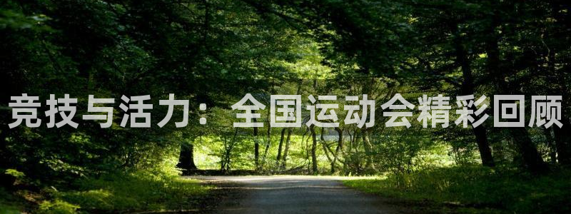 3377体育官方正版app五金厂：竞技与活力：全国运