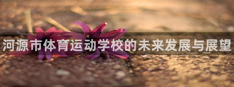 3377体育官网下载官方客服电话：河源市体育运动学校的未来发