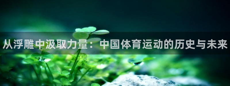 3377体育官网下载招商电话号码查询：从浮雕中汲取力量：中国