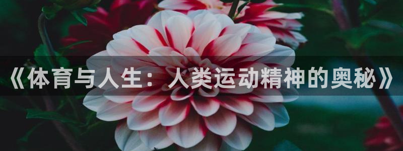 3377体育官网下载联系电话：《体育与人生：人类运动