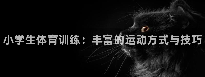 3377体育官方正版app娱乐代理怎么样：小学生体育训练：丰