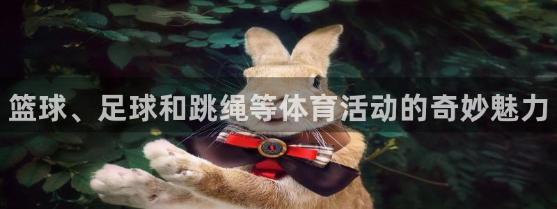 3377体育官方正版app娱乐首页网站大全：篮球、足球和跳绳
