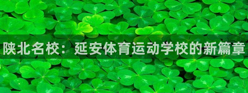 3377体育官方正版app代理：陕北名校：延安体育运动学校的