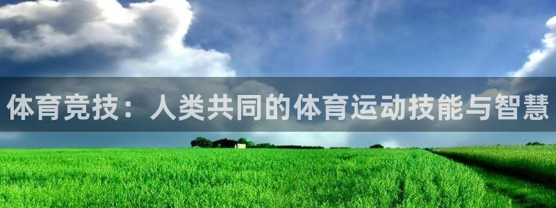 3377体育官方正版app集团E.ON：体育竞技：人类共同的