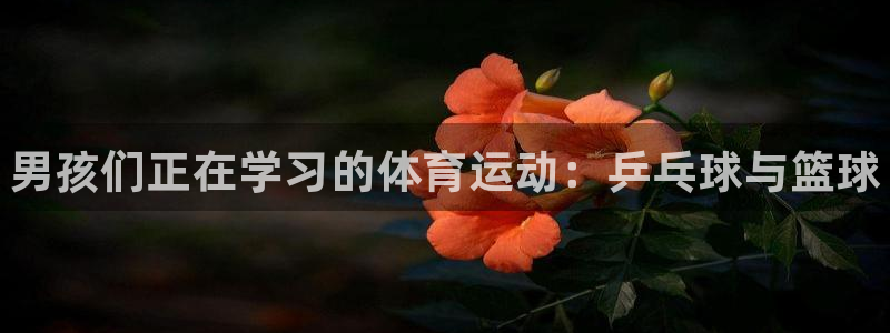 3377体育官网下载平台注册要钱吗安全吗：男孩们正在