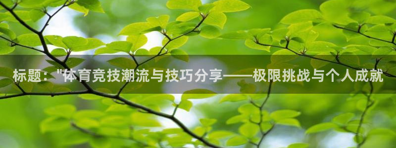3377体育官网下载招商电话地址