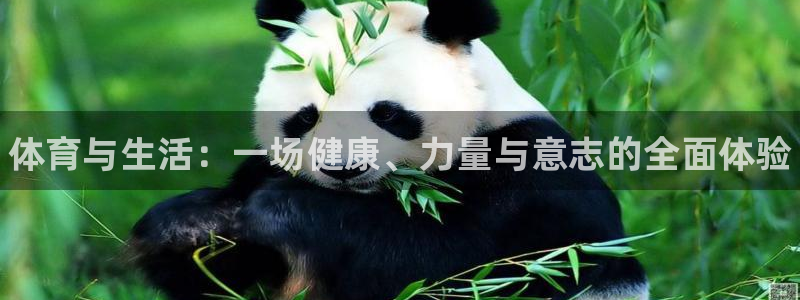 3377体育官网下载招商电话号码是多少号：体育与生活