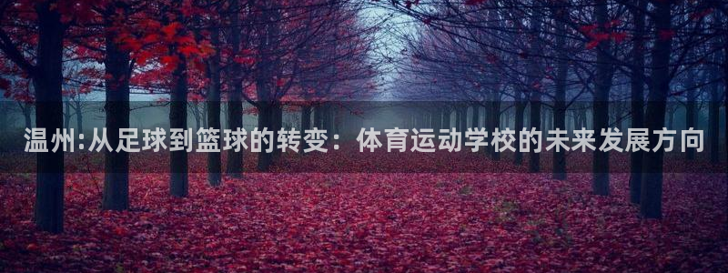 3377体育官方正版app娱乐网站：温州:从足球到篮
