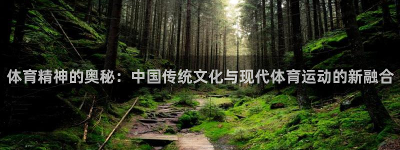 3377体育官方正版app开户：体育精神的奥秘：中国