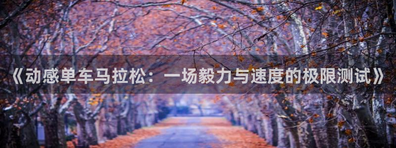 3377体育官方正版app娱乐：《动感单车马拉松：一场毅力与