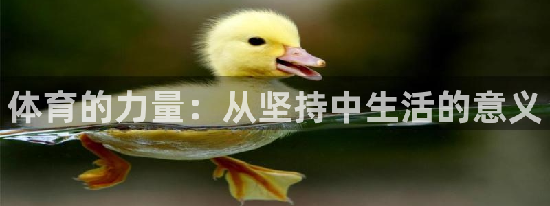 3377体育官方正版app集团简介：体育的力量：从坚