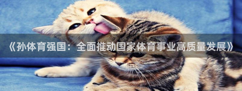 3377体育官方正版app娱乐：《孙体育强国：全面推动国家体