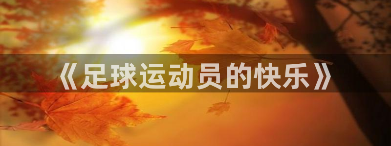 3377体育官网下载注册：《足球运动员的快乐》