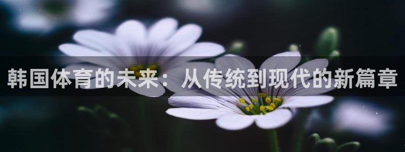 3377体育官网下载招商电话地址是多少：韩国体育的未来：从传