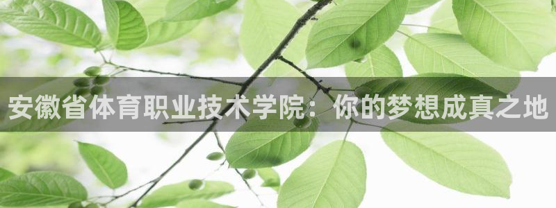 3377体育官方正版app集团简介：安徽省体育职业技