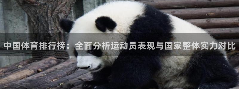 3377体育官网下载招商电话是多少啊：中国体育排行榜：全面分