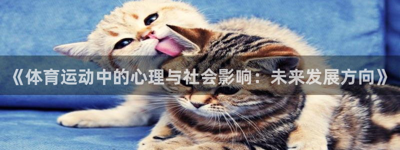 海南3377体育官网下载：《体育运动中的心理与社会影响：未来