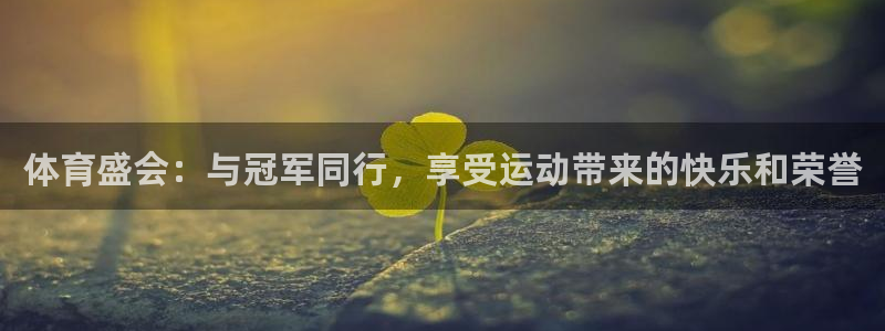 3377体育官方正版app官网：体育盛会：与冠军同行