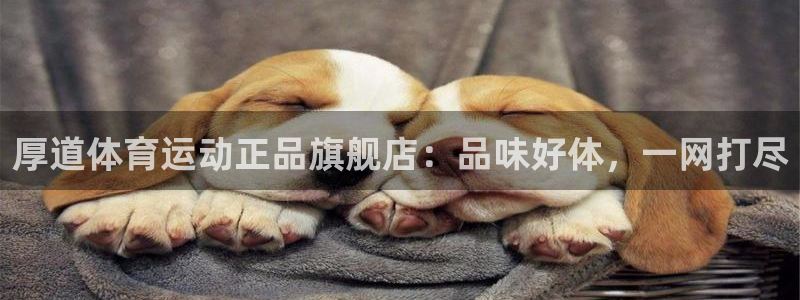 3377体育官方正版app娱乐网站：厚道体育运动正品旗舰店：
