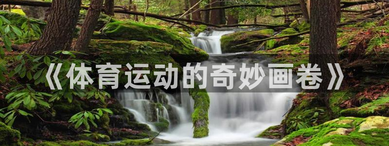 注册3377体育官方正版app：《体育运动的奇妙画卷》