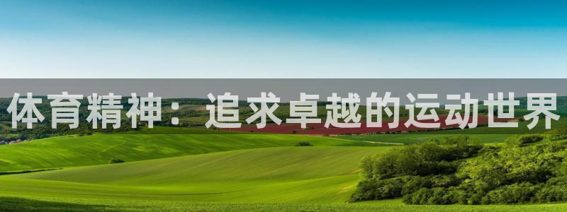 3377体育官方集团官网：体育精神：追求卓越的运动世界