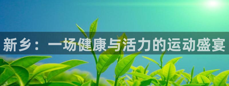 3377体育官网下载招商：新乡：一场健康与活力的运动盛宴