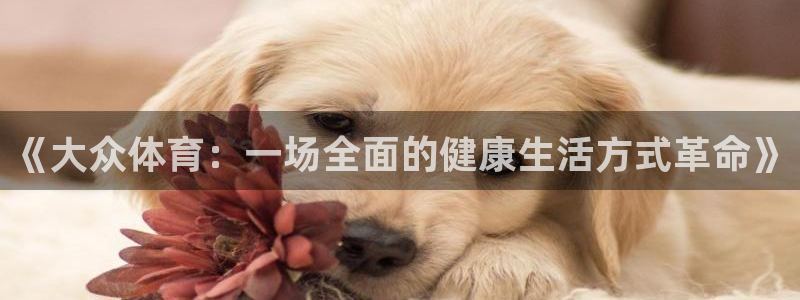 3377体育官网下载是干嘛的公司