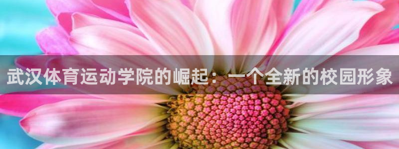 3377体育官网下载：武汉体育运动学院的崛起：一个全