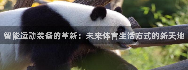 3377体育官网下载开户