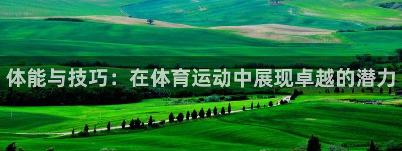 3377体育官方正版app新能源：体能与技巧：在体育