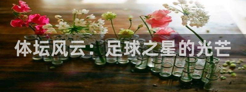 3377体育官方集团官网：体坛风云：足球之星的光芒