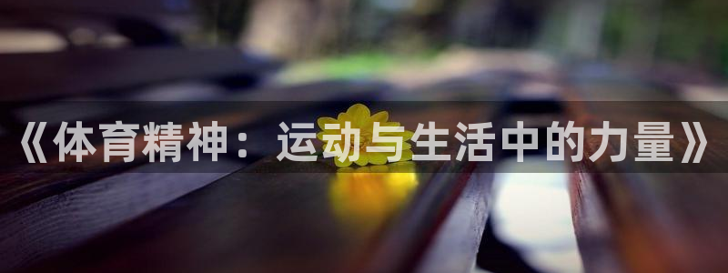 3377体育官网下载平台注册流程图