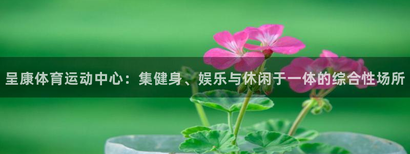 3377体育官方正版app集团官网首页：呈康体育运动