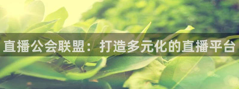 9255tv直播无插件nba：直播公会联盟：打造多元化的直播平台