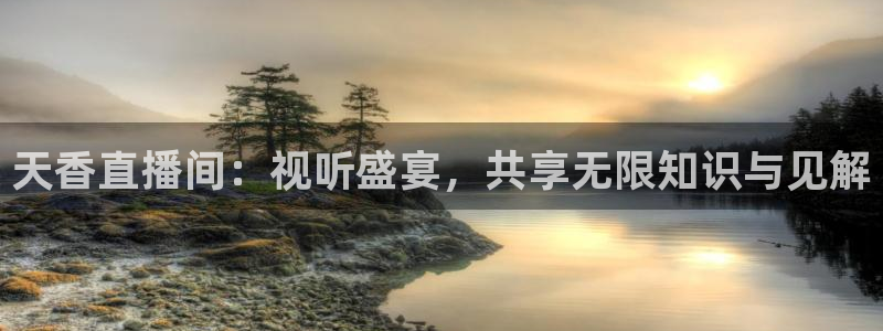 9255tv直播无插件nba：天香直播间：视听盛宴，共享无限知识与见解