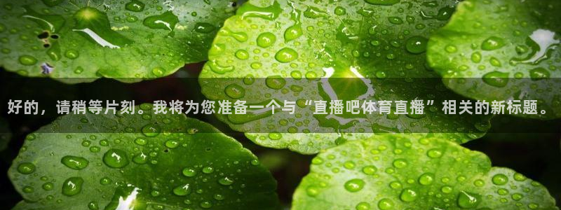 9255tv直播nba在线直播：好的，请稍等片刻。我将为您准备一个与“直播吧体育直播”相关的新标题。