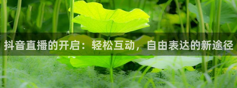 9255tv直播无插件nba：抖音直播的开启：轻松互动，自由表达的新途径
