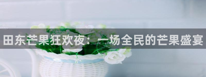 9255tv直播无插件nba：田东芒果狂欢夜：一场全民的芒果盛宴