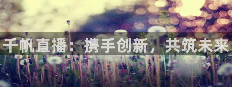 9255tv直播无插件nba：千帆直播：携手创新，共筑未来